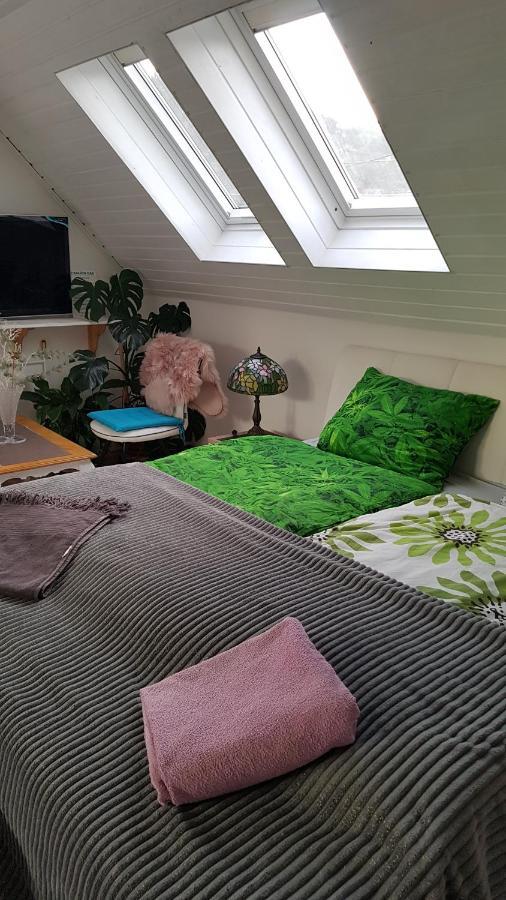 Apartmán Családi ház Budapešť Exteriér fotografie