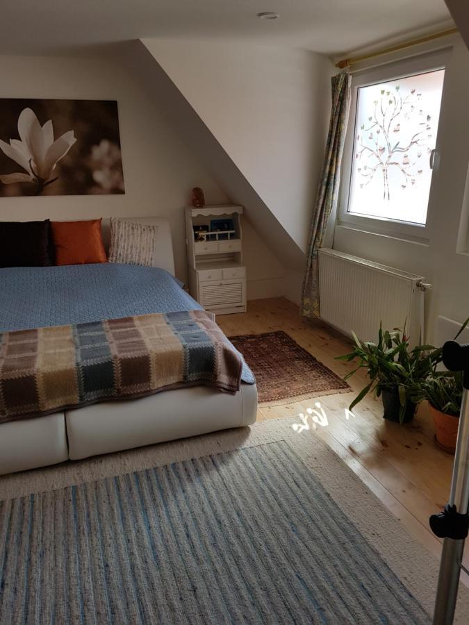 Apartmán Családi ház Budapešť Exteriér fotografie